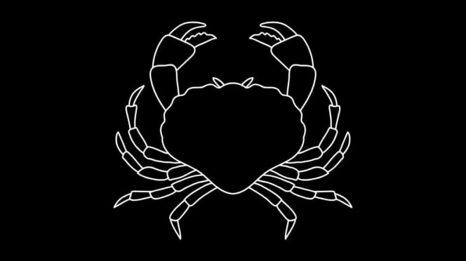 Roczny horoskop finansowy Rak 2025