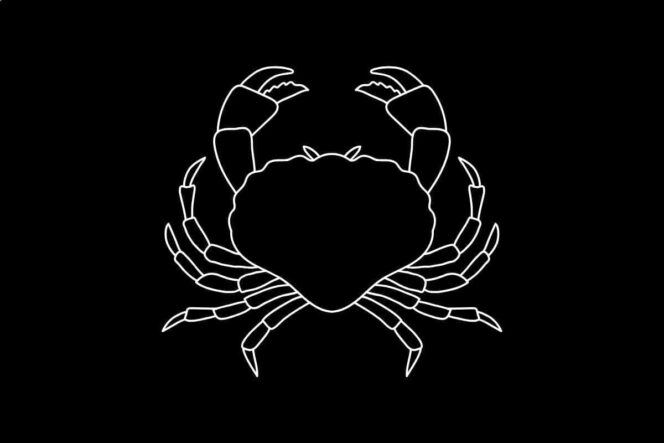 Roczny horoskop finansowy Rak 2025