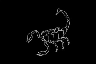 Roczny horoskop finansowy Skorpion 2025