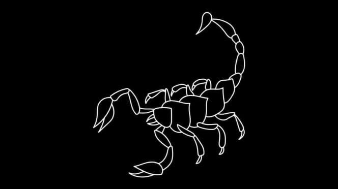 Roczny horoskop finansowy Skorpion 2025