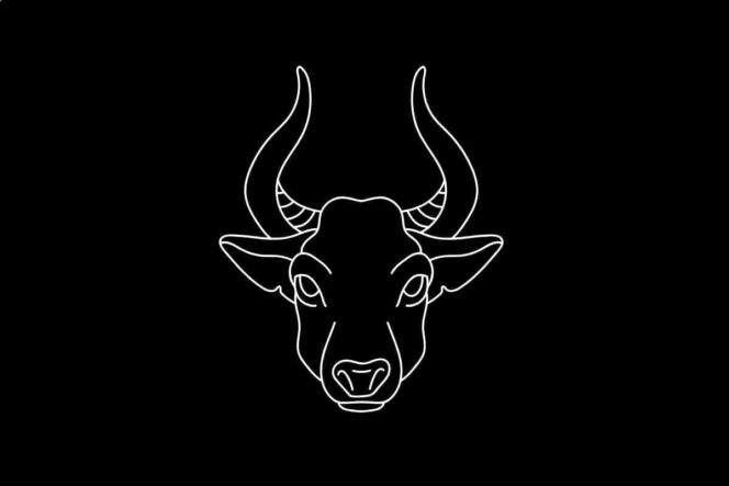 roczny horoskop finansowy Byk 2026
